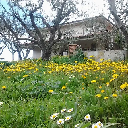 Casa di campagna Paglia E Fieno